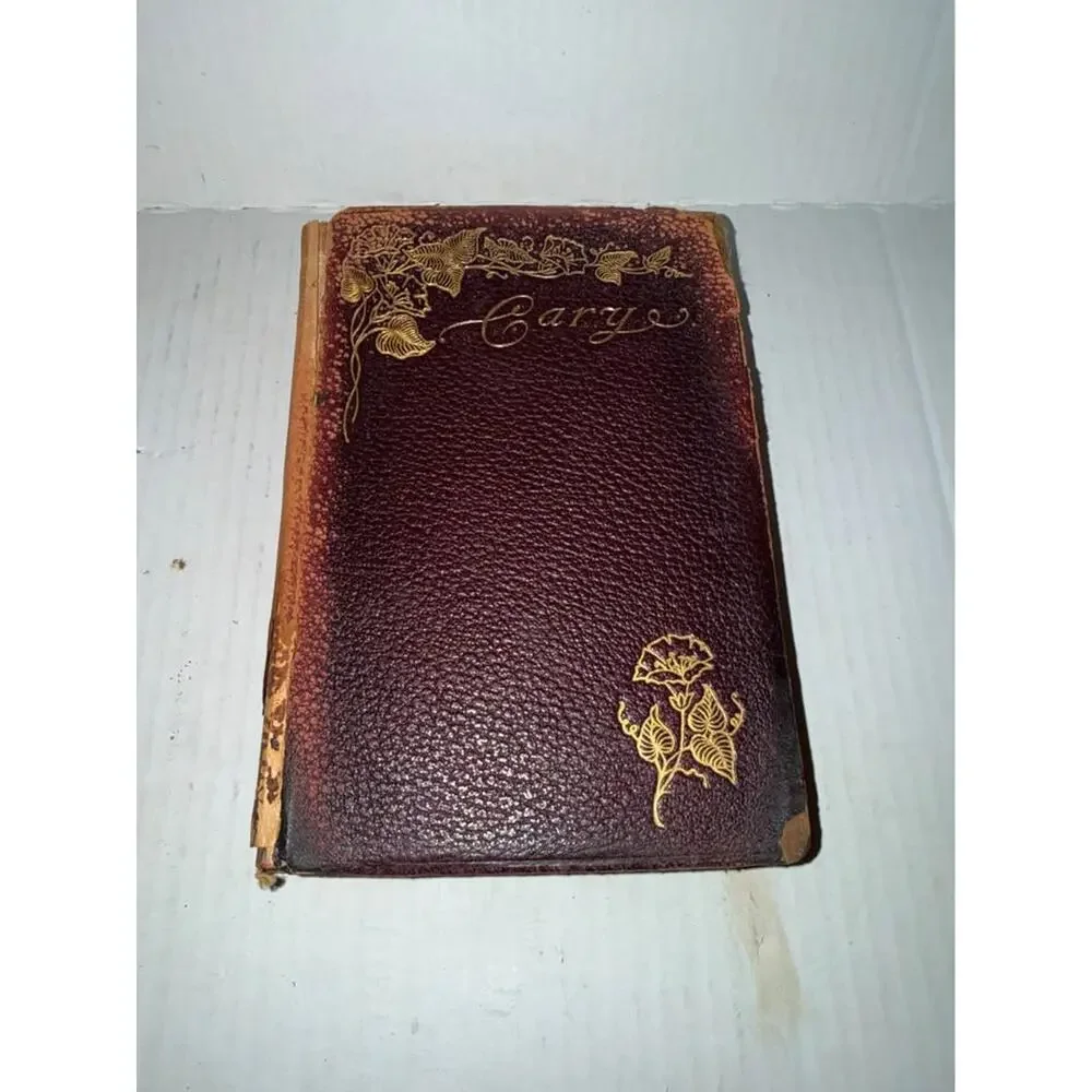 Poems book of Alice and Phoebe Cary (Leather)